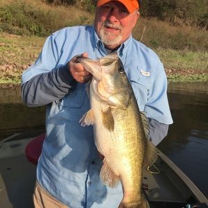 Meet your Posher, Chuck